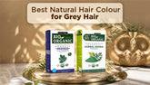 Best Natural Hair Colour for Grey Hair No Damage Guide 2026