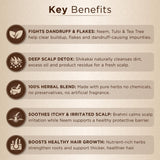 Key Benefits of Brahmi Leaf Powder, Neem Leaf Powder, Shikakai Fruit Powder, Tulsi Leaf Powder, Fenugreek Seed Powder, Tea Tree Essential Oil
