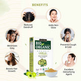 Organic Amla Fruit Powder Benefits