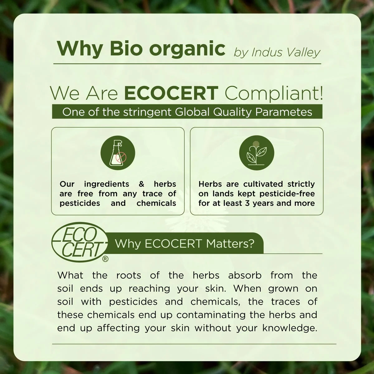 Why Bio Organic - ECOCERT and USDA