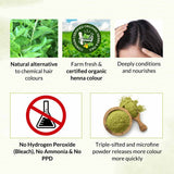 Dark Brown Henna Hair Colour - USP