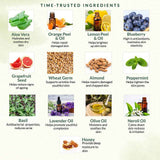 Sun Guard Aloe Vera Ingredients