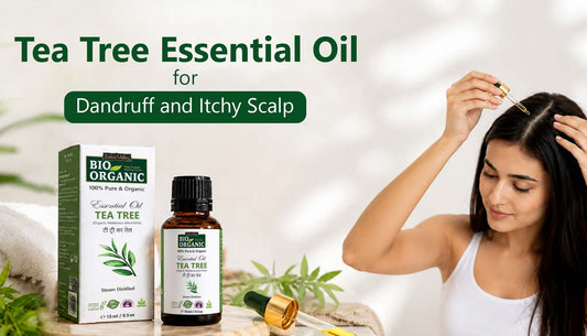 Tea Tree Essential Oil For Dandruff and Itchy Scalp