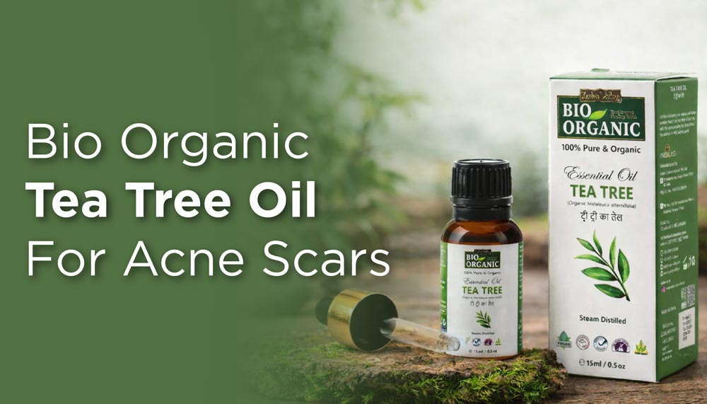 Bio Organic Tea Tree Oil for Skin
