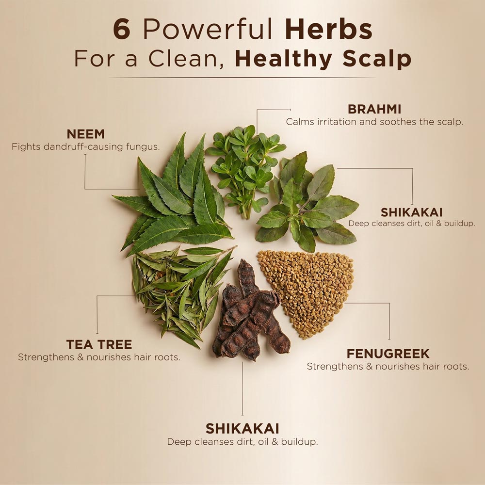 6 Powerful Herbs for clean and healthy scalp