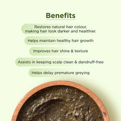 Bio Organic Bhringraj Powder - 100gm