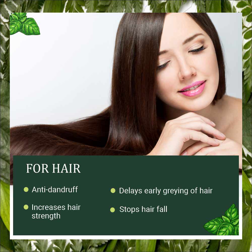 Organic & Pure Tulsi Leaf Powder For Hair 
